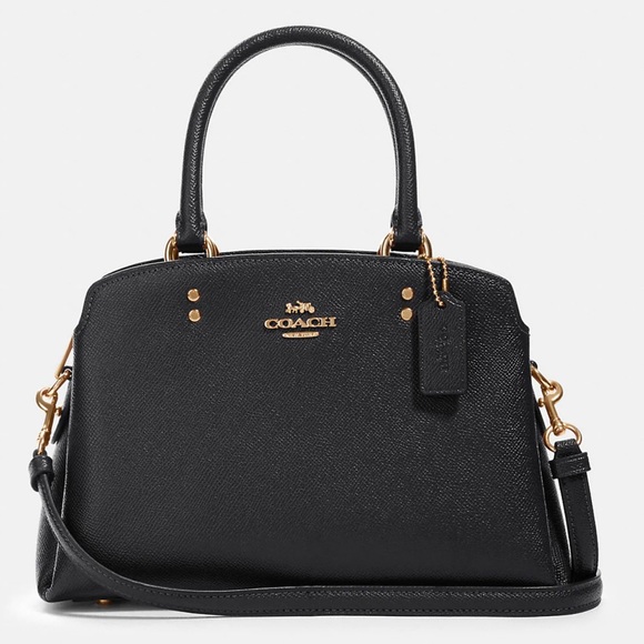 NWT Coach Mini Carryall - Picture 1 of 10